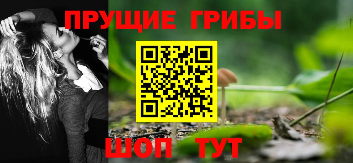 Дмитров  Галлюциногенные грибы прущие грибы  Вход с VPN 