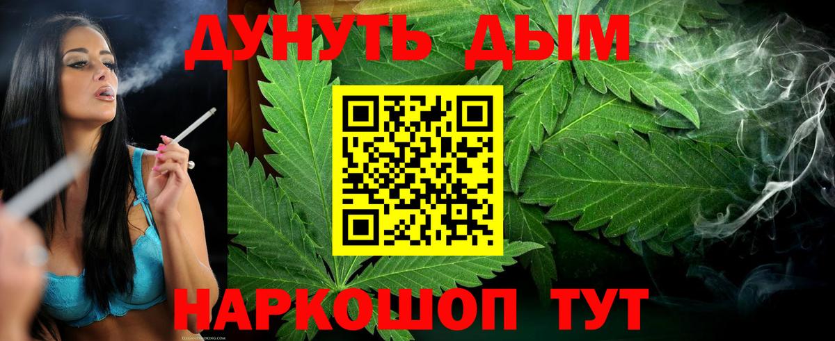 Каннабис SATIVA & INDICA Дмитров